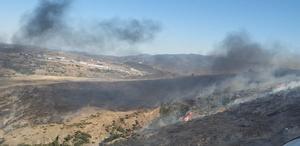 İzmir'de otluk alanda çıkan yangına müdahale ediliyor
