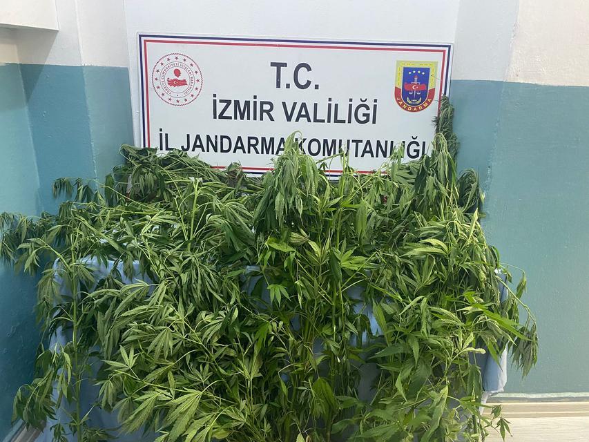 İzmir'deki uyuşturucu operasyonlarında 21 şüpheli yakalandı