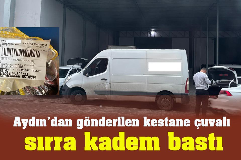 Aydın’dan gönderilen kestane çuvalı sırra kadem bastı