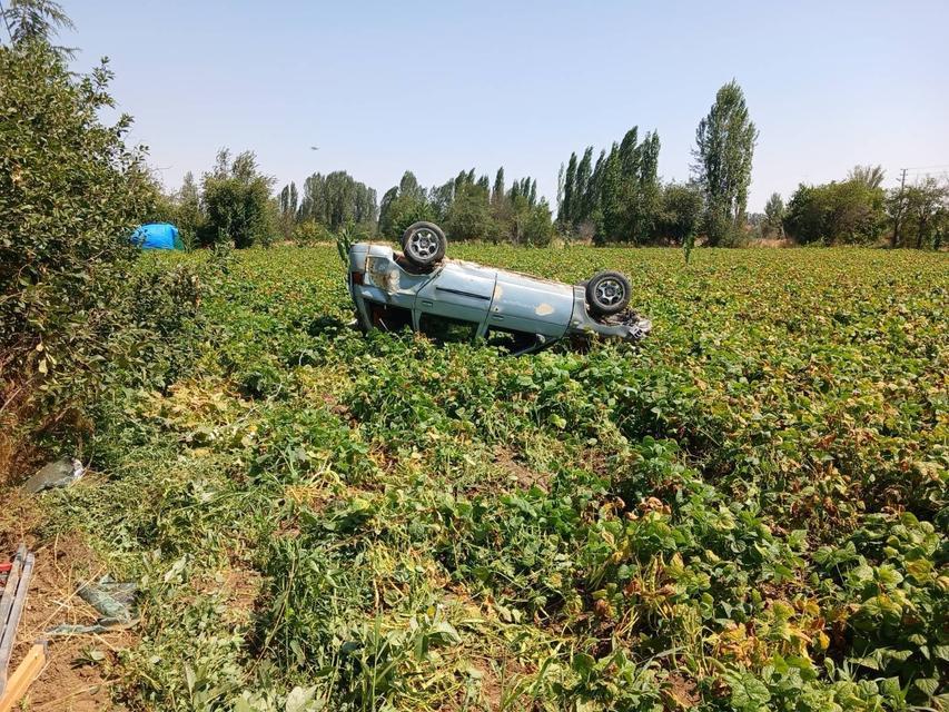 Virajı alamayan otomobil devrildi: 1 yaralı