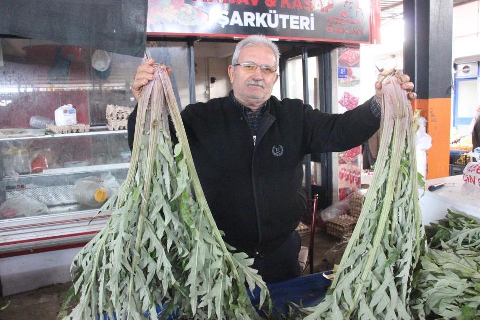 Aydın'da karaciğer dostu engina yoğun ilgi görüyor