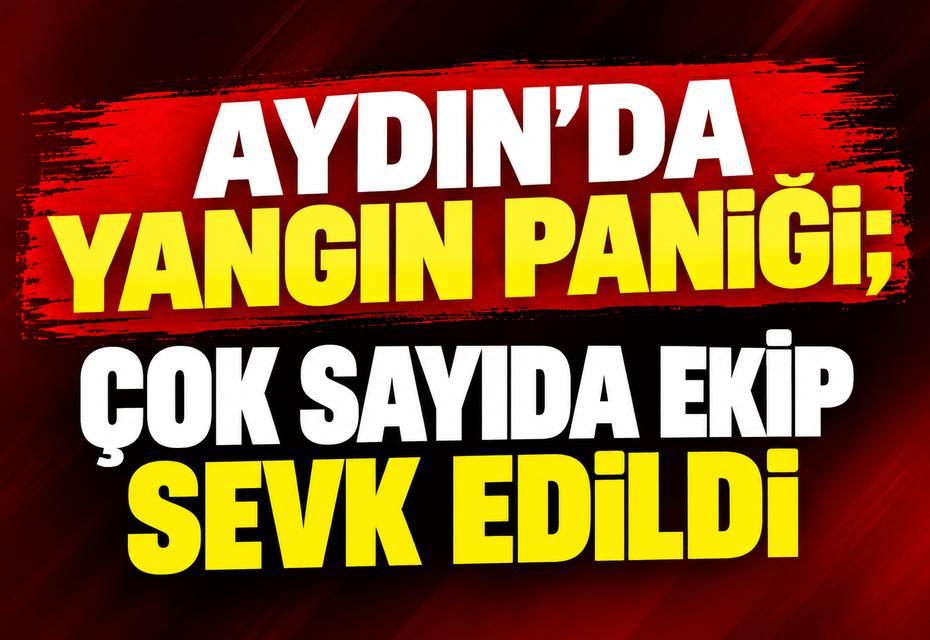 Aydın'da yangın paniği; Çok sayıda ekip sevk edildi