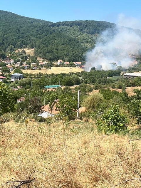 KUYUCAK'TA ZİRAAT ALANINDAKİ YANGIN ORMANA ULAŞMADAN SÖNDÜRÜLDÜ
