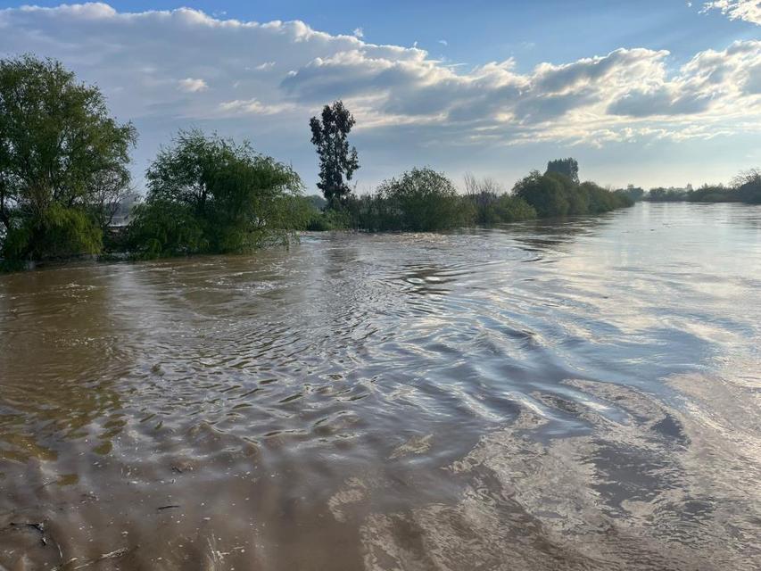 Menderes Nehri taştı, İncirliova-Koçarlı yolu sular altında kaldı