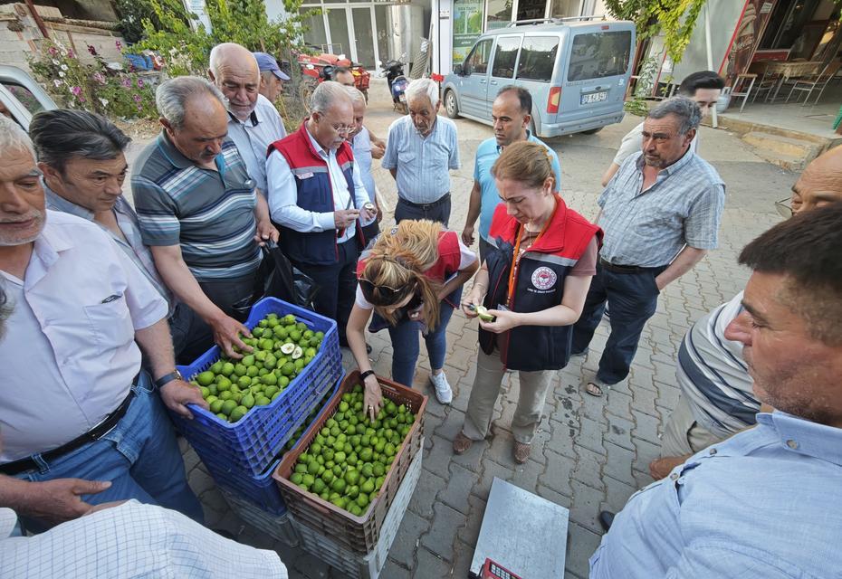 Karacasu’da incir kalitesi için sıkı denetim