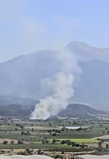 Ege'de korkutan yangın!