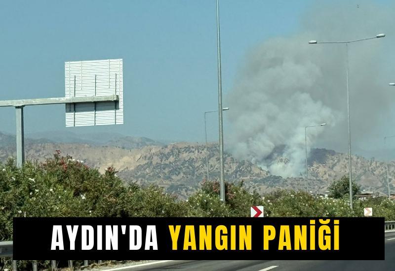 Aydın'da yangın paniği