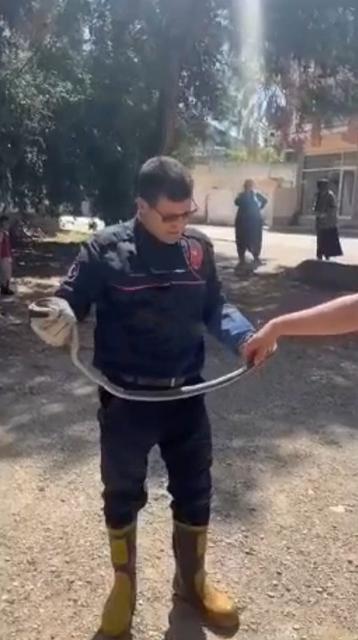 ADANA'DA YILAN PANİĞİ