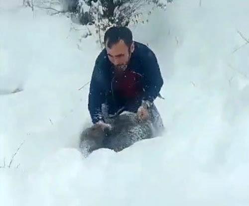 KARLI YOLDA DOMUZU ELLERİYLE YAKALAYAN ADAM KONUŞTU: "BİR ANI OLSUN DİYE YAKALADIM, KİMSEYE TAVSİYE ETMEM"