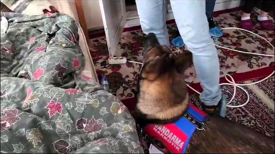 FUHUŞ YALANIYLA 14 İLDE 18 KİŞİYİ 1,5 MİLYON DOLANDIRDILAR JANDARMA EKİPLERİ TARAFINDAN ADIM ADIM İZLENEN 7 KİŞİLİK SUÇ ŞEBEKESİNİN 4 ÜYESİ TUTUKLANDI