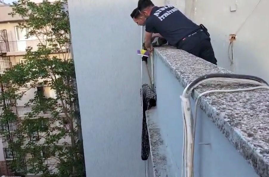 Çatı kenarında mahsur kalan yavru kedi kurtarıldı
