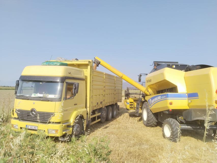Söke  Ovasında Buğday Hasadı Tamamlandı