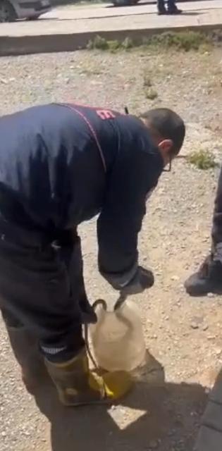 ADANA'DA YILAN PANİĞİ