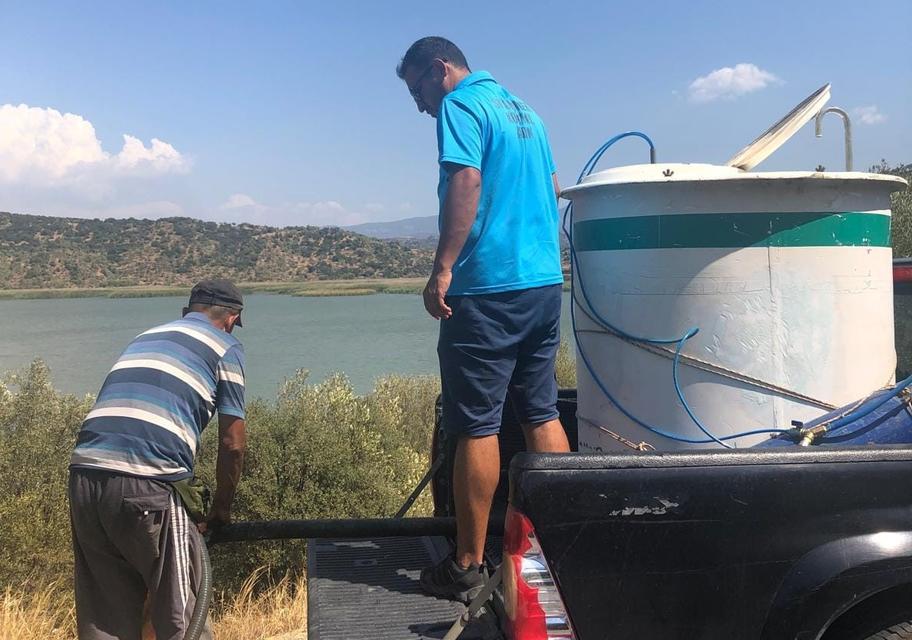 AZAP GÖLÜ'NE 250 BİN YAVRU SAZAN BALIĞI BIRAKILDI