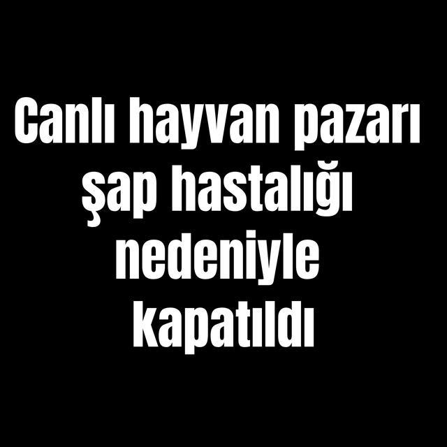 Canlı hayvan pazarı şap hastalığı nedeniyle kapatıldı