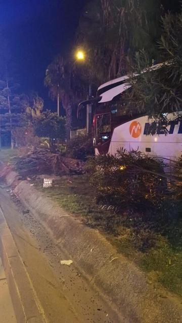 Yolcu otobüsü refüjdeki ağaç ve aydınlatma direğine çarptı: 3 yaralı