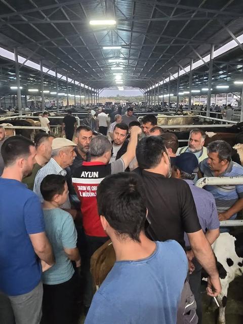 Aydın’da hayvan pazarlarında sıkı denetim