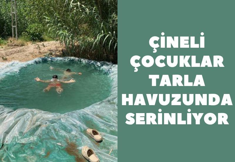 Çineli çocuklar tarla havuzunda serinliyor
