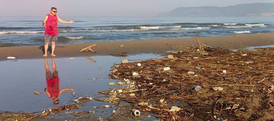 Pananos Plajı alarm veriyor! Ölü Caretta caretta bulundu