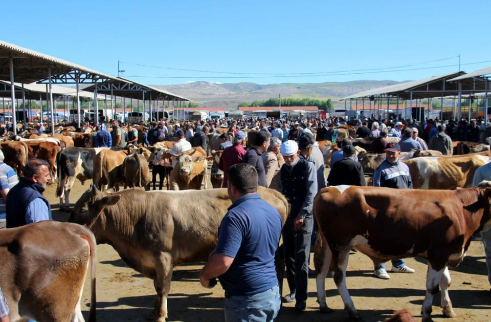 Hayvan pazarı yeniden açıldı