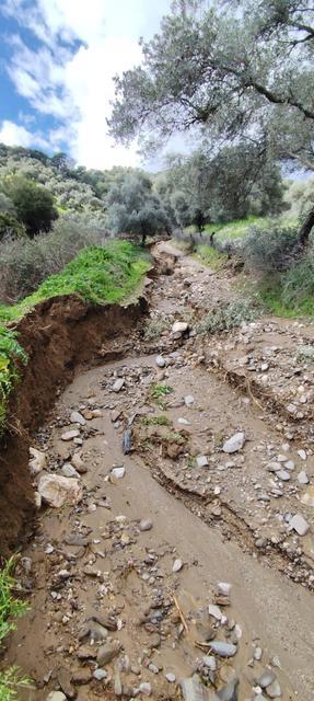 DERE SULARI YÖN DEĞİŞTİRDİ, ZEYTİNLİKTE İKİNCİ YATAK OLUŞTU ZEYTİNLİKTE İKİ İNSAN BOYU YARIKLAR OLUŞTU