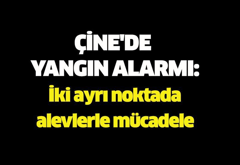 Çine'de yangın alarmı: İki ayrı noktada alevlerle mücadele