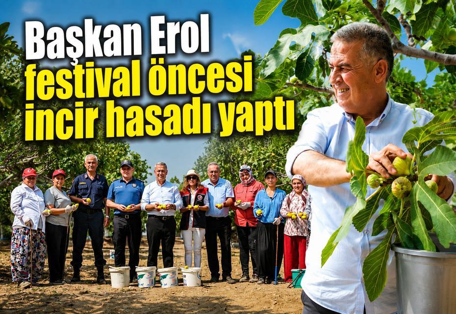 Başkan Erol festival öncesi incir hasadı yaptı