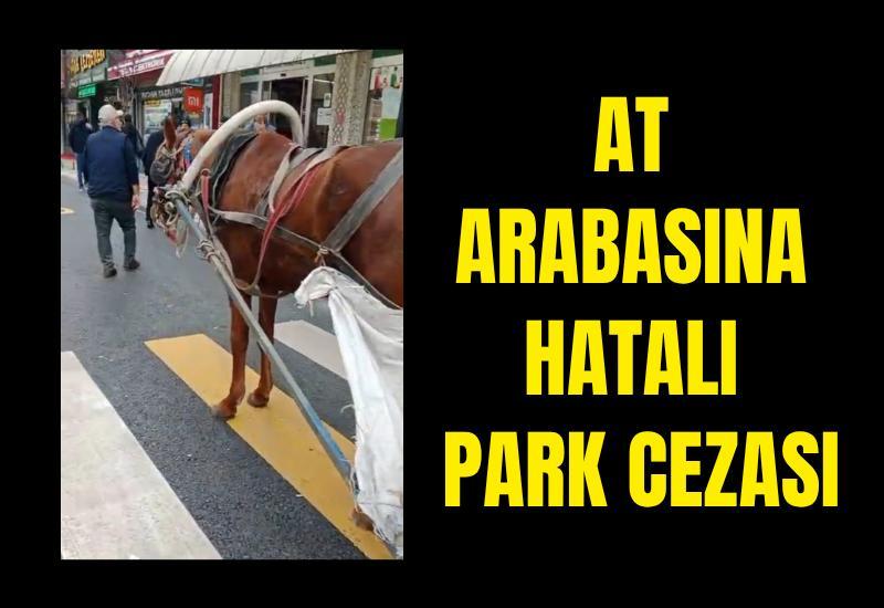At arabasına hatalı park cezası