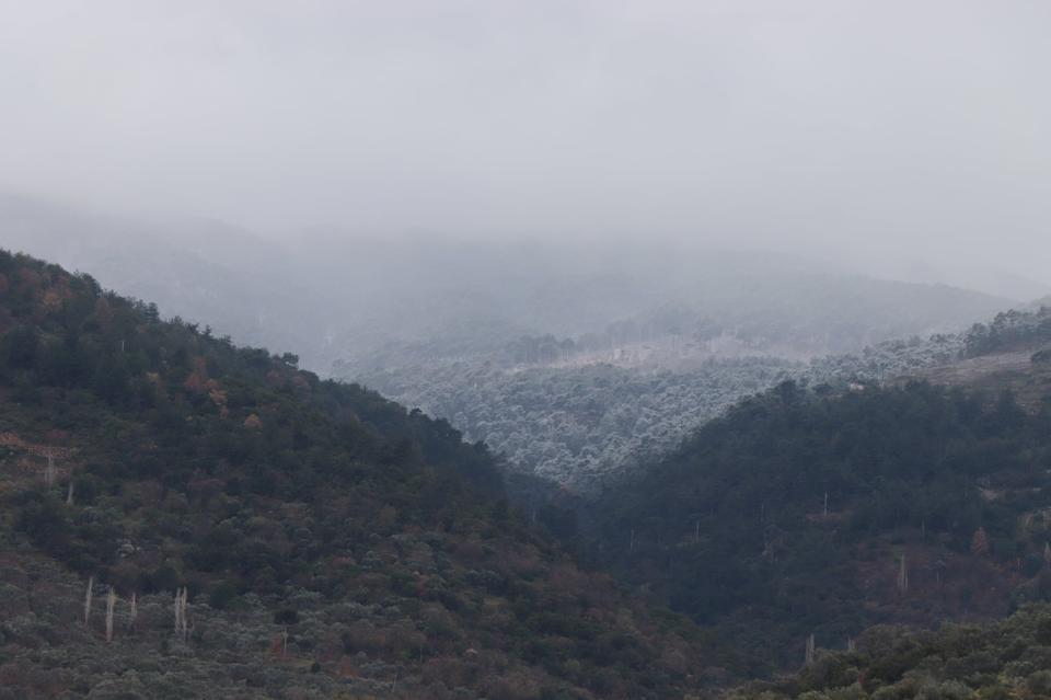 AYNI KAREDE HEM BAHAR, HEM KIŞ
