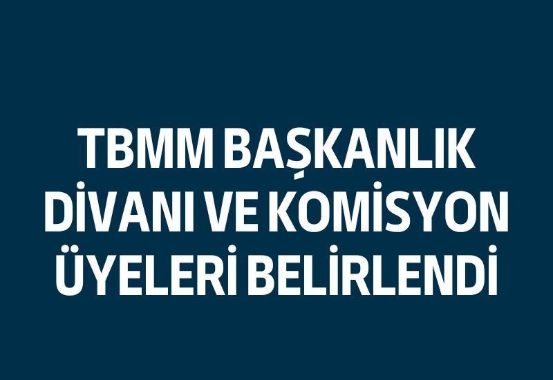 TBMM Başkanlık Divanı ve komisyon üyeleri belirlendi