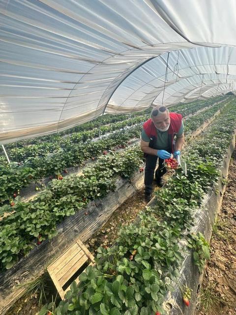 Köşk'ten Sultanhisar'a çapraz denetim