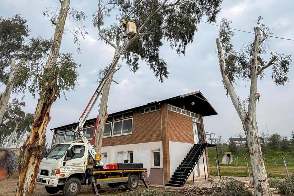 Tepecik Mesire Alanı yenileniyor