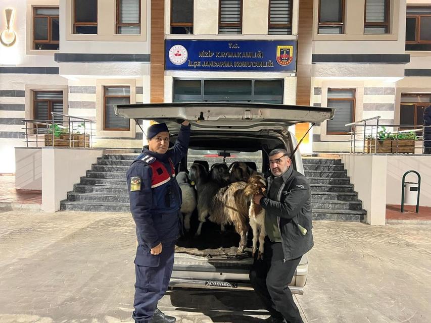 Sahte para ile hayvan alan dolandırıcılar yakalandı
