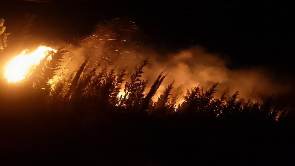Makilik ve ormanlık alanda yangın