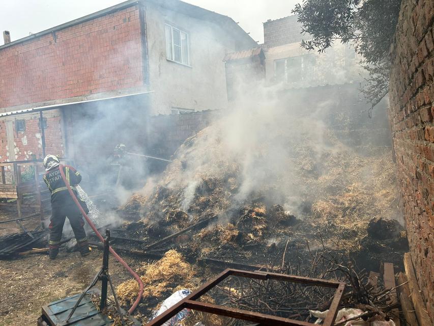 Aydın’da korkutan yangın