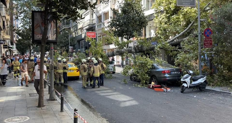 Çınar ağacı iki aracın üzerine devrildi