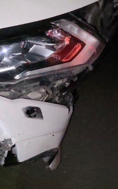 ELAZIĞ'DA OTOMOBİL DOMUZ SÜRÜSÜNE ÇARPTI