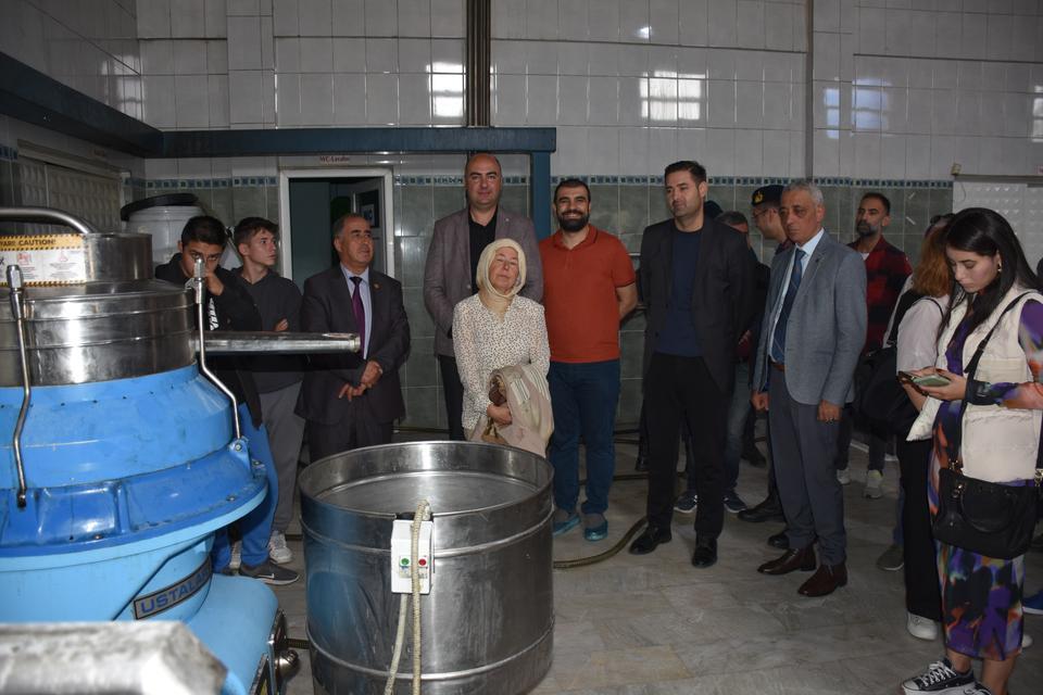 Germencik'te sezonun ilk zeytin sıkımı yapıldı