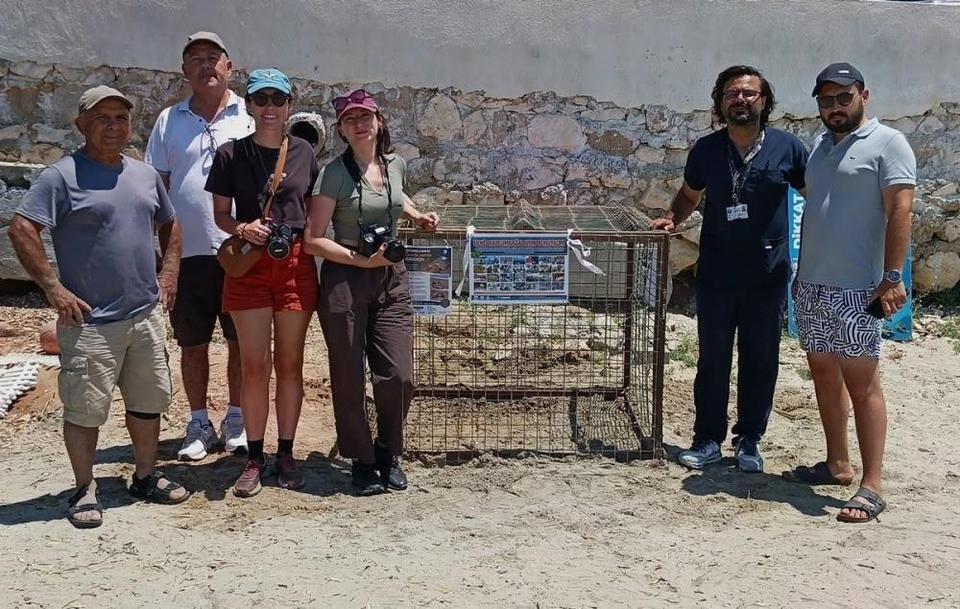 Aydın’da yılın ilk Caretta Caretta yuvası tespit edildi