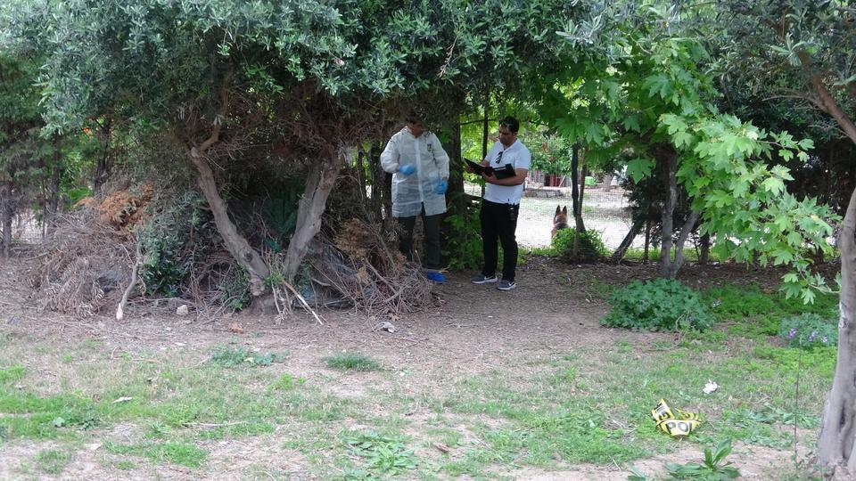 Bir kişi ağaçlık alanda ölü bulundu