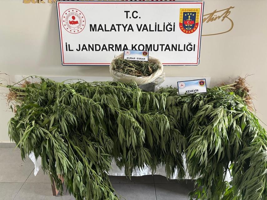 Jandarmadan uyuşturucu operasyonu