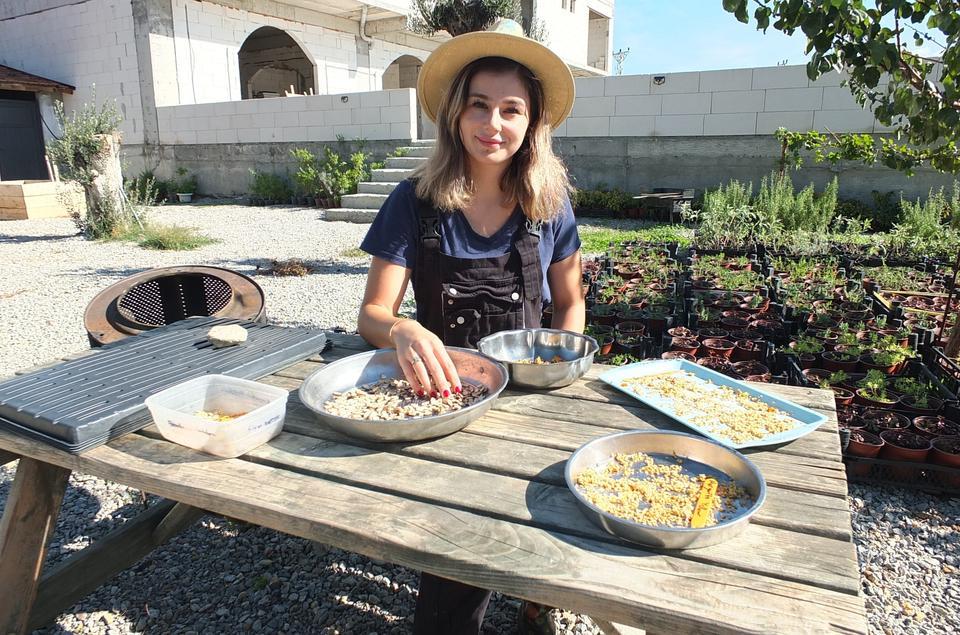 BALIKESİRLİ KADIN GİRİŞİMCİ YURDUN HER TARAFINA FİDE GÖNDERİYOR