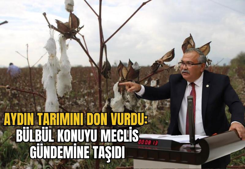 Aydın tarımını don vurdu: Bülbül konuyu meclis gündemine taşıdı