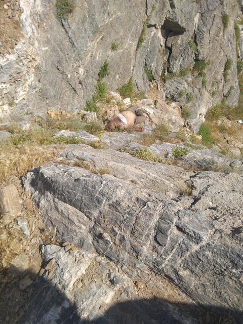 BATMAN'DA KEŞİF EKİBİNİ TAŞIYAN ARAÇ ŞARAMPOLE YUVARLANDI: 5 ÖLÜ