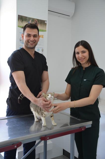 AKILLI KEDİ DOĞUM İÇİN VETERİNERE GELDİ O ANLAR GÜVENLİK KAMERALARINA YANSIDI