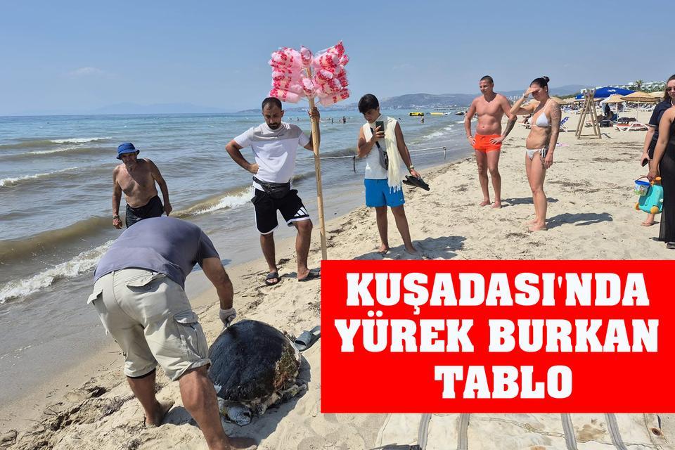 Kuşadası'nda yürek burkan tablo