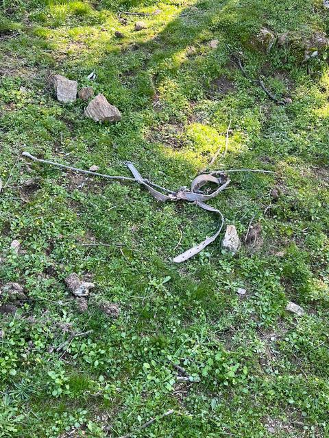 Yenipazar ve Bozdoğan’ın ardından Çine’de de görülen ve ilçe merkezine kadar yaklaşması ile vatandaşlardaki tedirginliği artıran Madran Canavarı, Aydın’ın gündemindeki yerini korumaya devam ediyor.