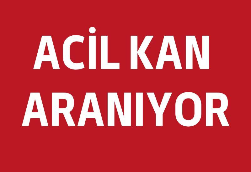 Aydın'da kan aranıyor