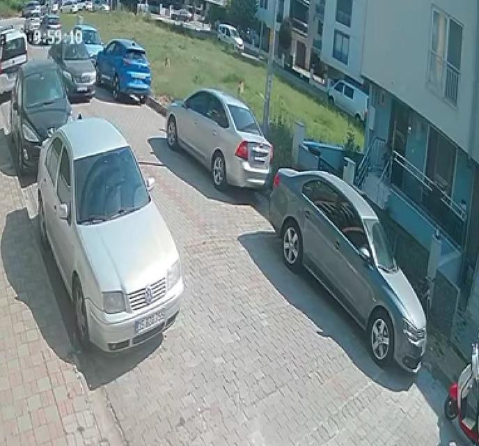 AYDIN'DA SINAVA GİDEN ÖĞRENCİYE KÖPEK SALDIRDI