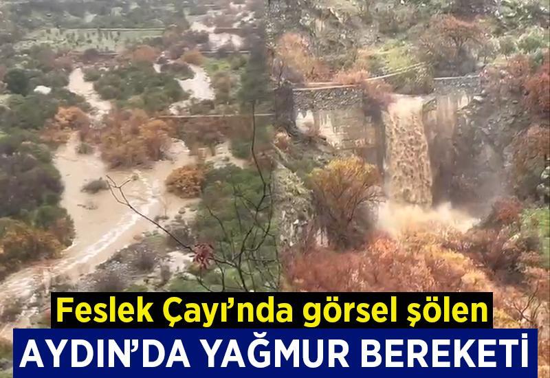 Aydın'da yağmur bereketi